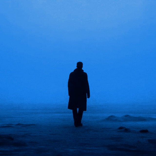 Обкладинка: Timeless — Maverick