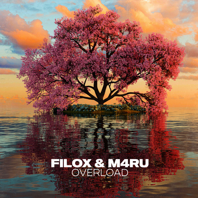 Overload cover art