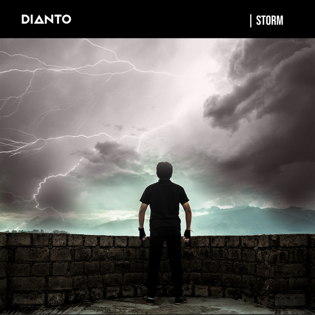 Storm cover art