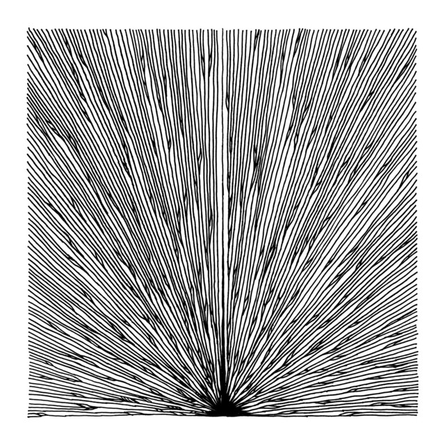 Petricore cover art