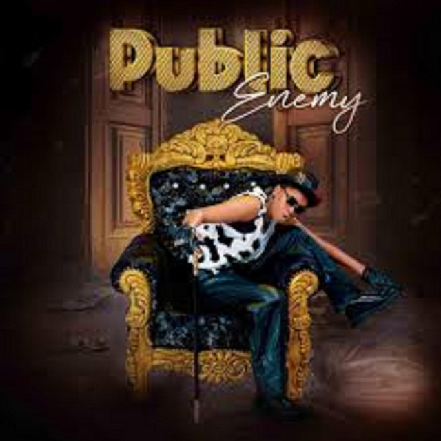 Public Enemy cover art