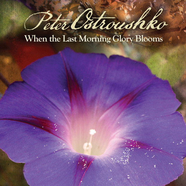 When the Last Morning Glory Blooms cover art