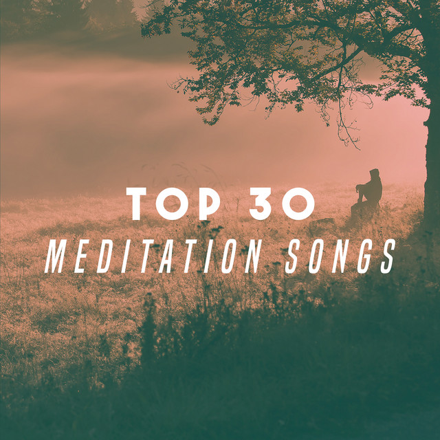 Top 30 Meditation Songs cover art
