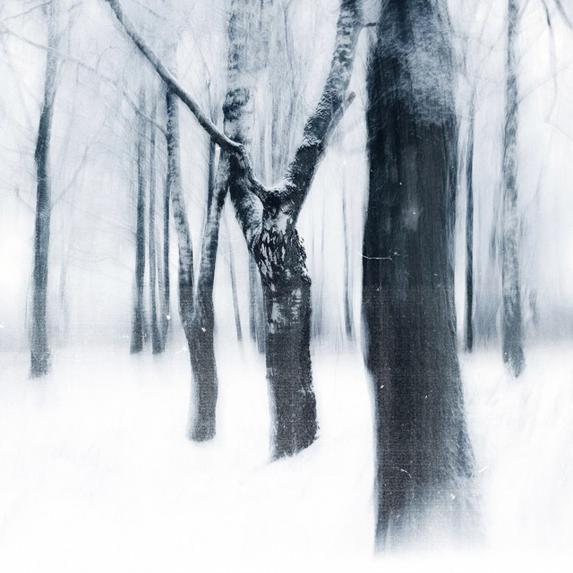 Snowfall Era cover art