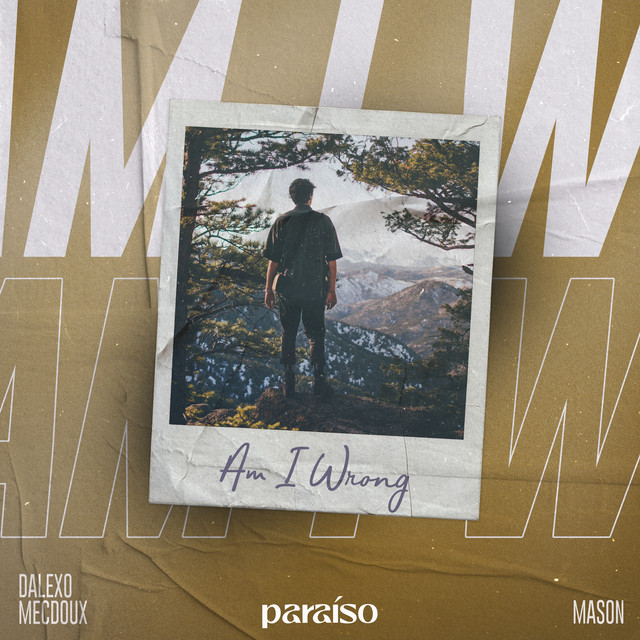 Album cover for Am I Wrong by DALEXO