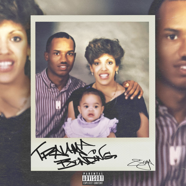 Trauma Bonding cover art
