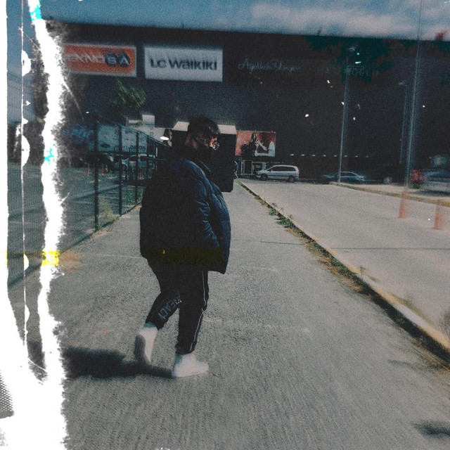 Meshwork cover art