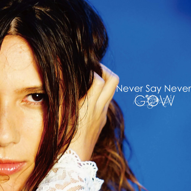 Never Say Never cover art