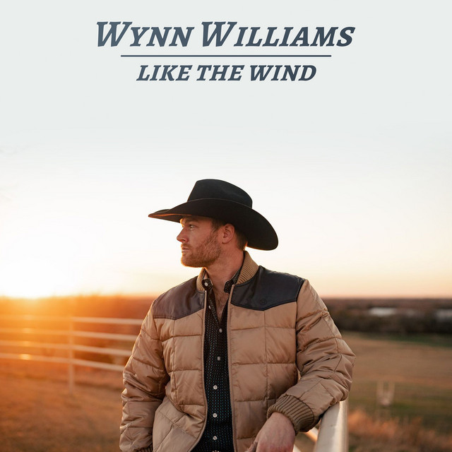 Like the Wind cover