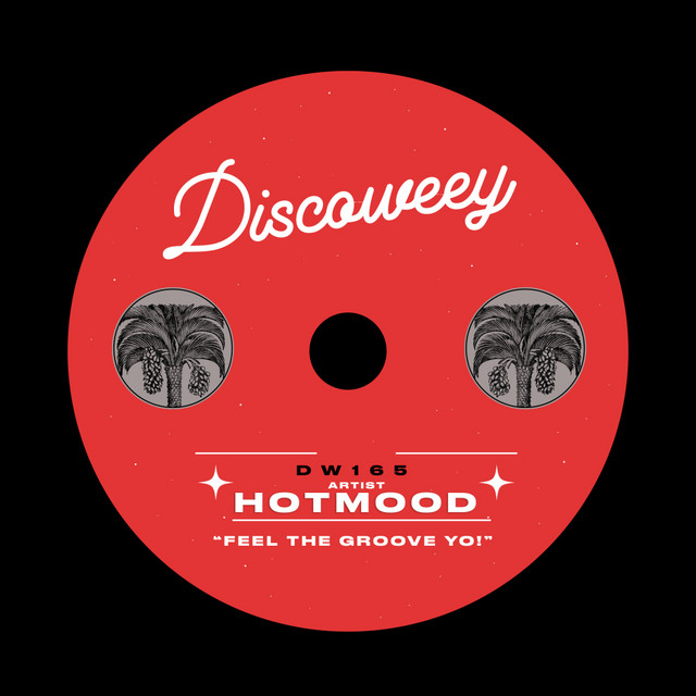 Feel The Groove Yo! album art