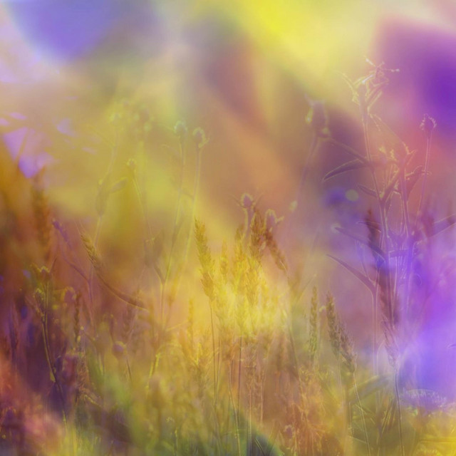 Arcane