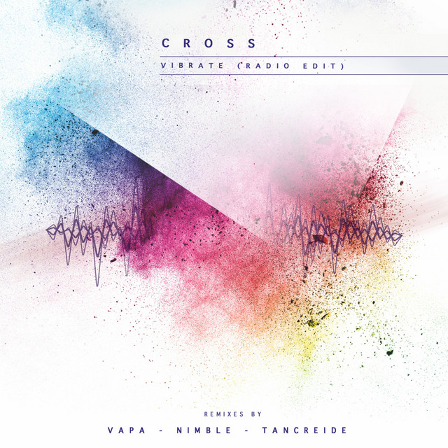 Vibrate - Vous n'Avez Pas d'Avis Remix cover art