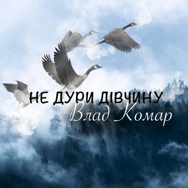 Обкладинка: Не дури дівчину — Влад Комар