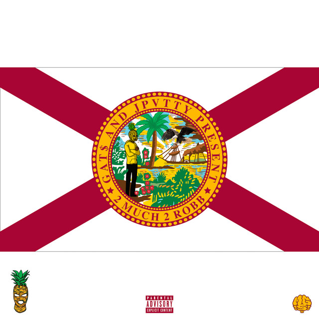 2 MUCH 2 ROBB cover art