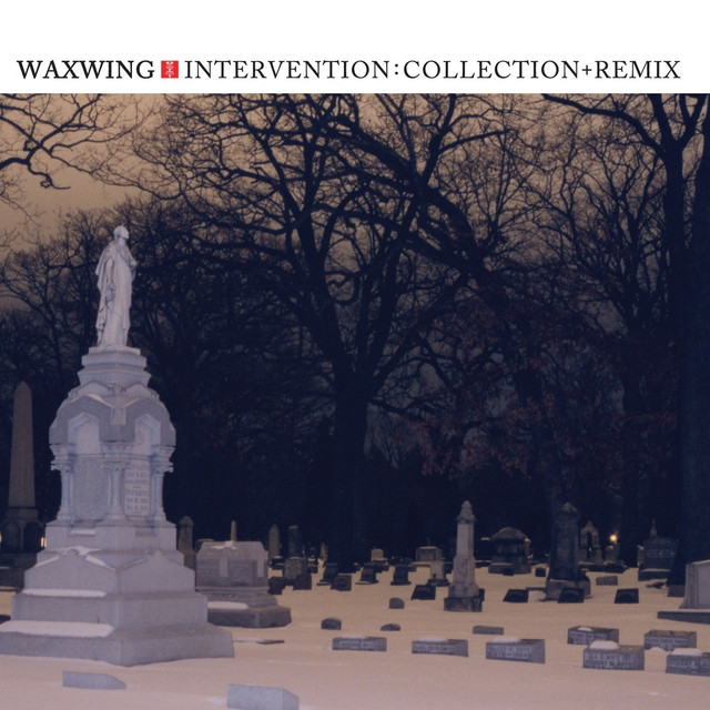 Intervention: Collection + Remix cover art