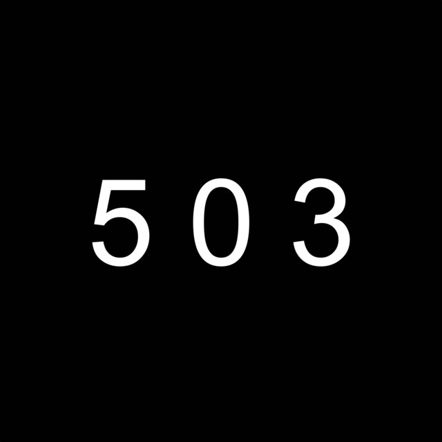 503 cover art