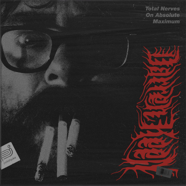 Total Nerves On Absolute Maximum cover