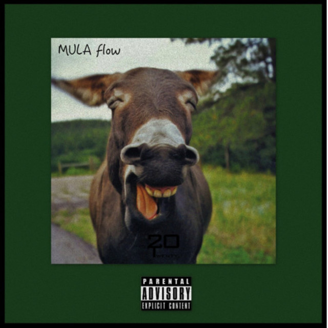 Mula Flow cover art