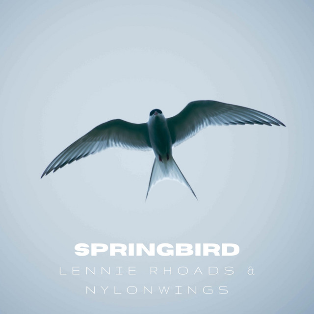 Springbird cover art