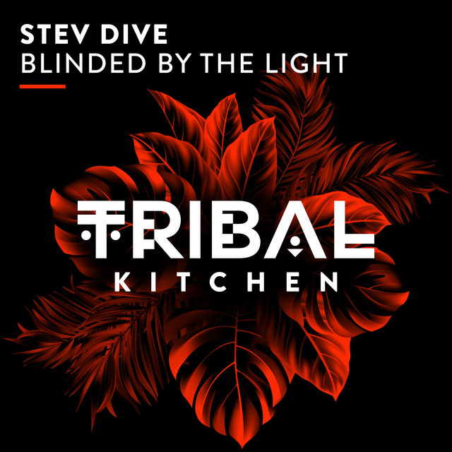 Blinded by the Light - Extended Mix album art