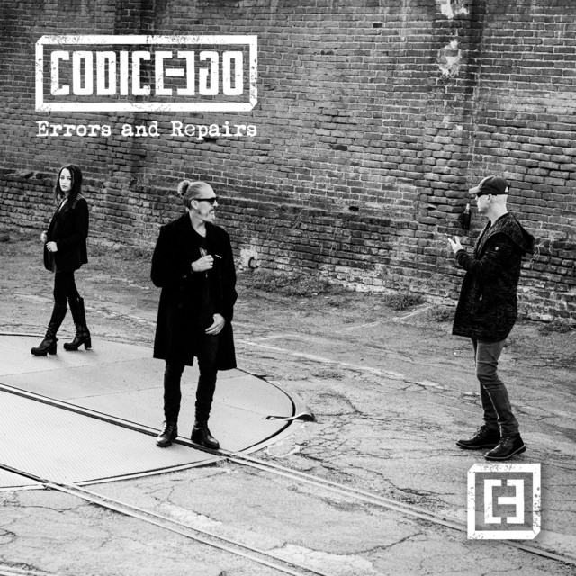 Errors and Repairs cover art