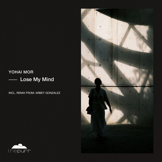 Lose My Mind - Original Vocal Mix album art