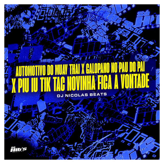 Automotivo do Muay Thai X Galopano no Pau do Pai X Piu Iu Tik Tac Novinha Fica a Vontade