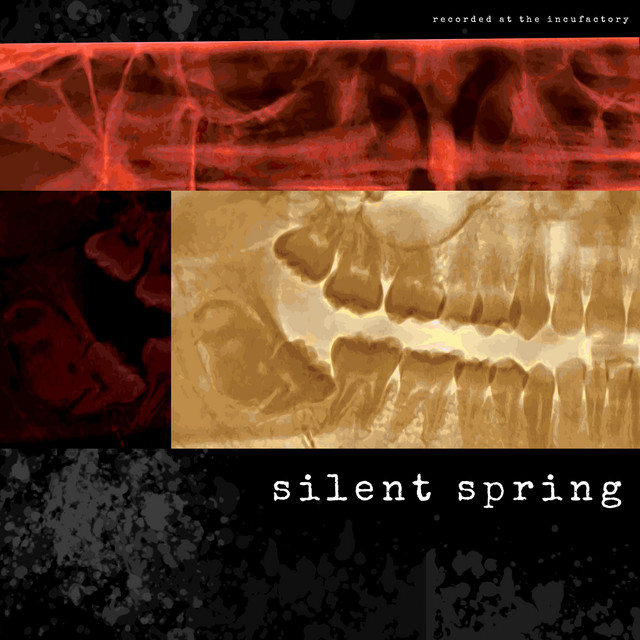 July - song and lyrics by SILENT-SPRING | Spotify
