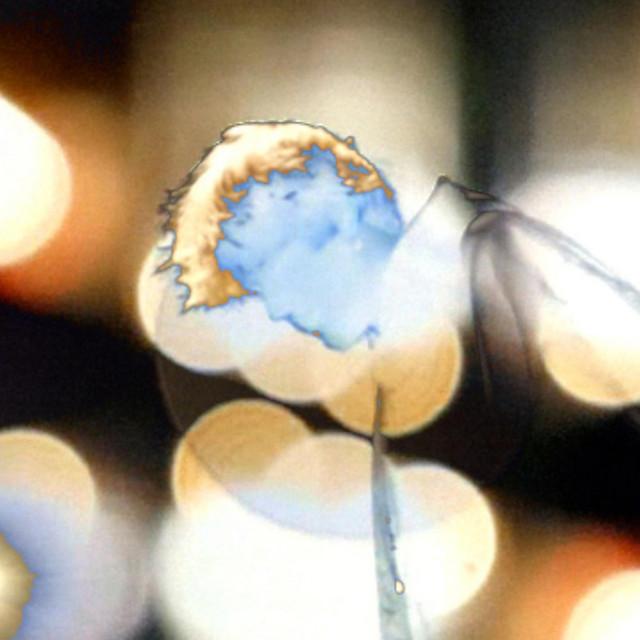 lightsintherain