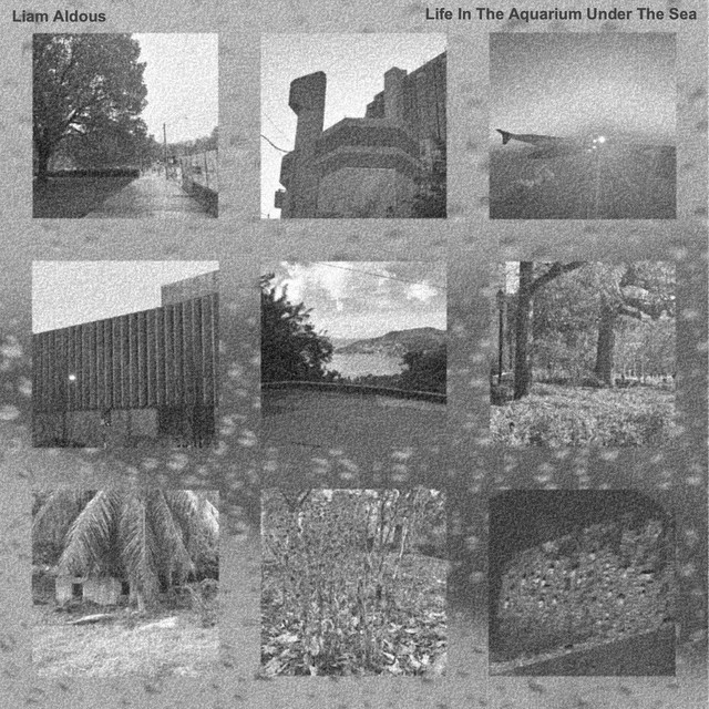 Life in the Aquarium Under the Sea cover art