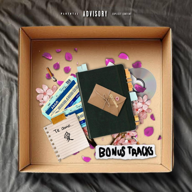 BONUSTRACKS (D.V.P.U.S) cover art