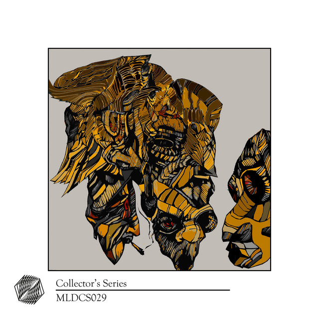 Collector's Series | 29 cover