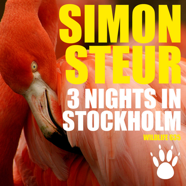 3 Nights In Stockholm cover