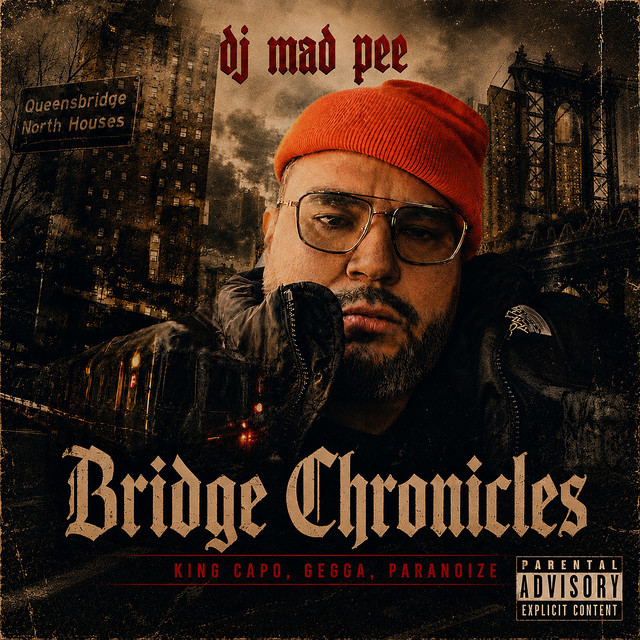 Bridge Chronicles cover art
