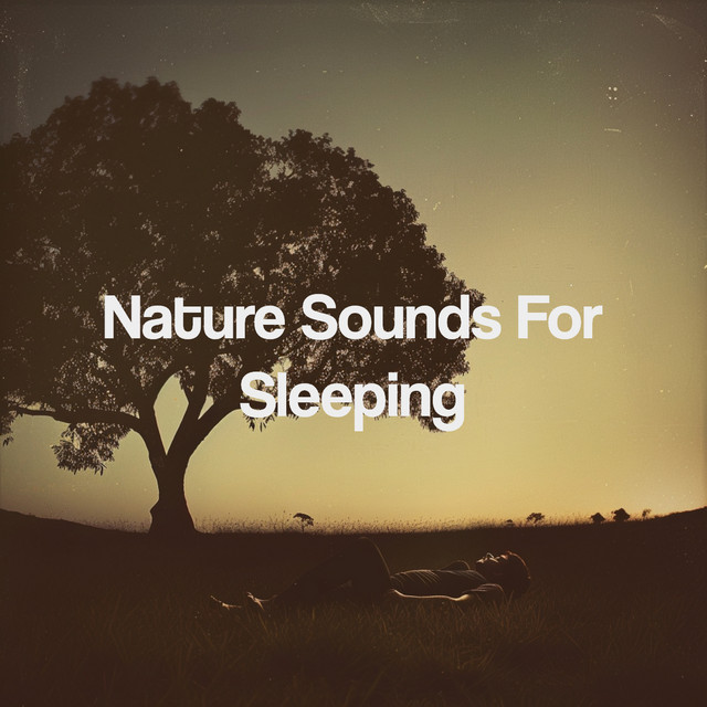 Nature Sounds For Sleeping - Album by Nature Sounds Nature Music | Spotify