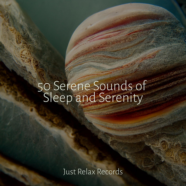 50 Serene Sounds of Sleep and Serenity - Album by Nature Sound ...