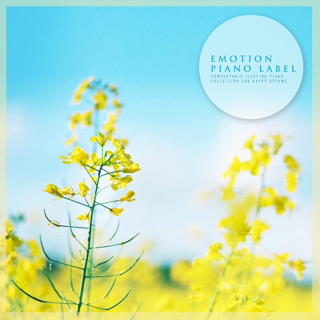 Comfortable Sleeping Piano Collection For Happy Dreams - Compilation by ...