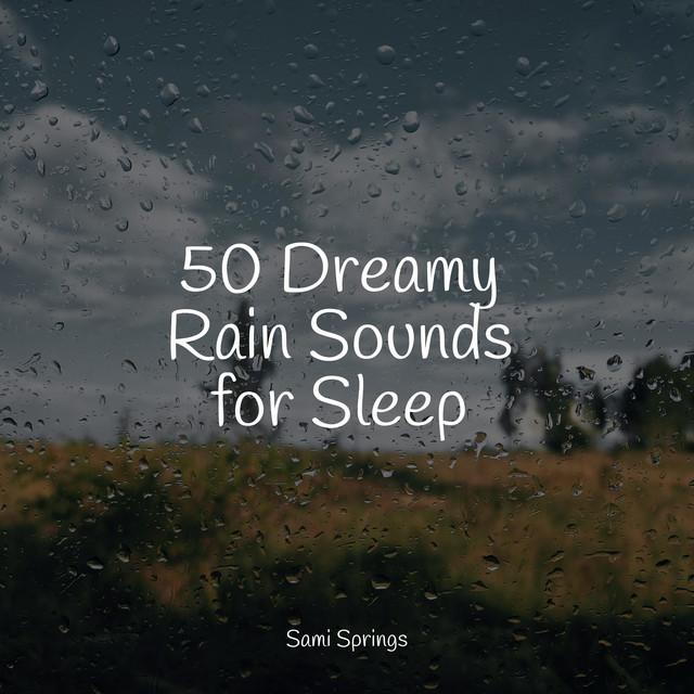 50 Dreamy Rain Sounds for Sleep - Album by Guided Meditation | Spotify