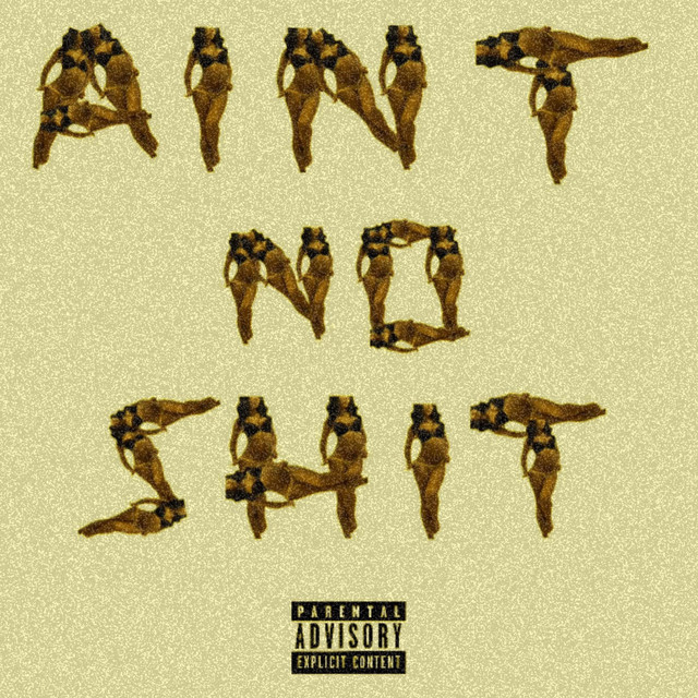 AINT NO SHIT