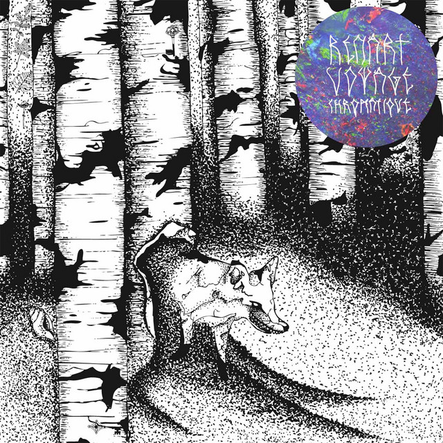 Voyage chromatique cover art
