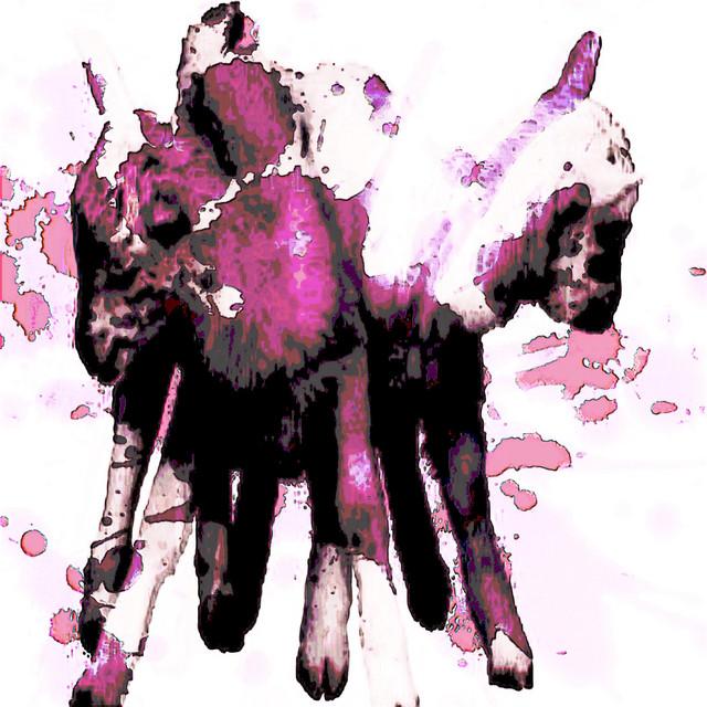 BEENDYINGSINCE2002 cover art