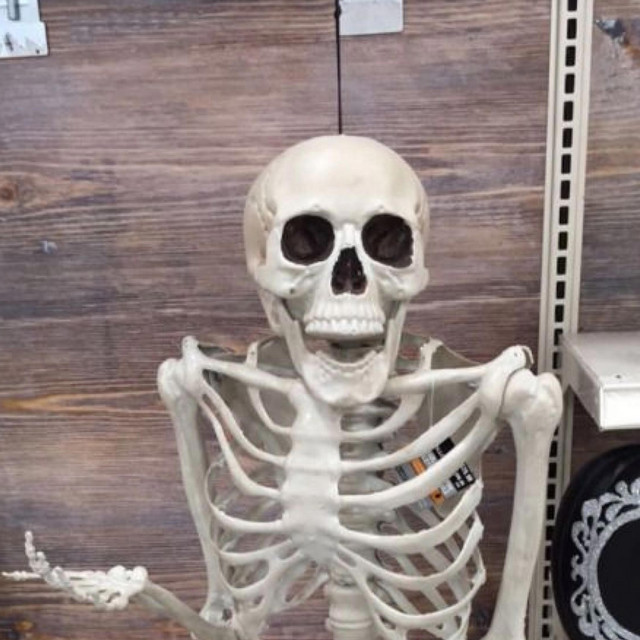 bones (siemspark) cover art