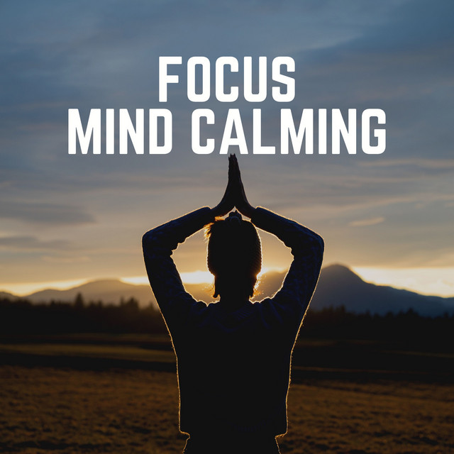 Focus Mind Calming - EP by Easy Ambient Mind Body Soul Healing ...