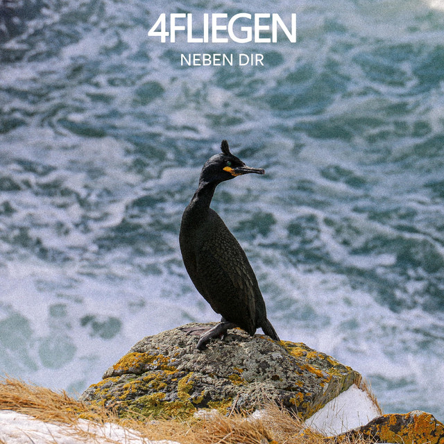Neben Dir cover