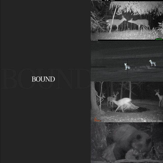 Bound cover art