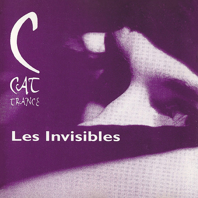 Les Invisibles cover art