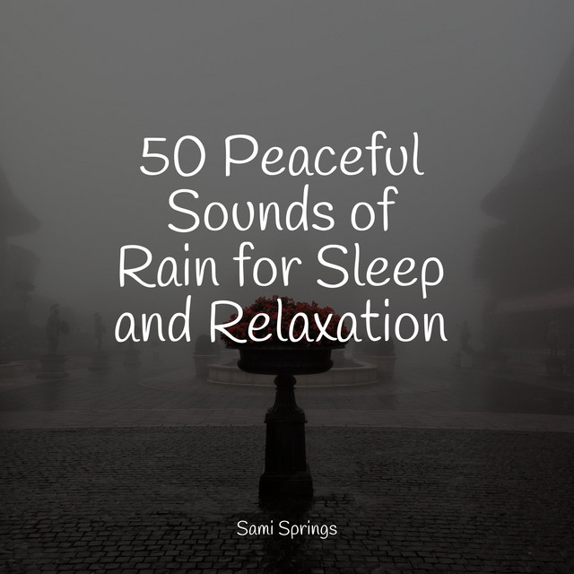 50 Peaceful Sounds of Rain for Sleep and Relaxation - Album by ...