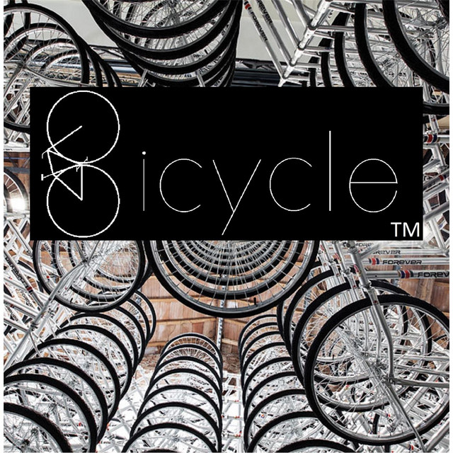 Bicycle cover art