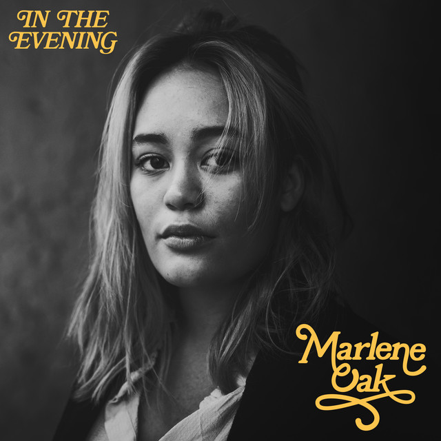In The Evening cover