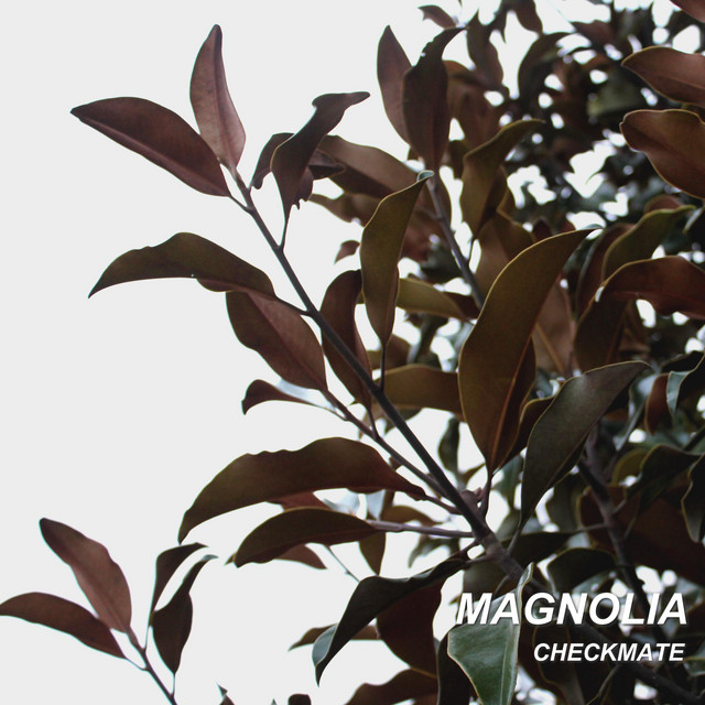 Magnolia cover